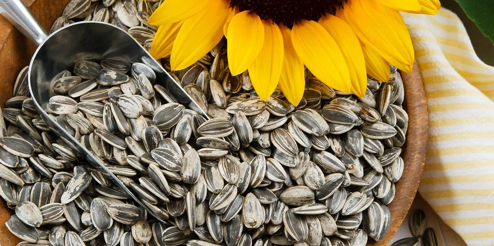 6 thực phẩm giàu vitamin E giúp da khỏe đẹp 