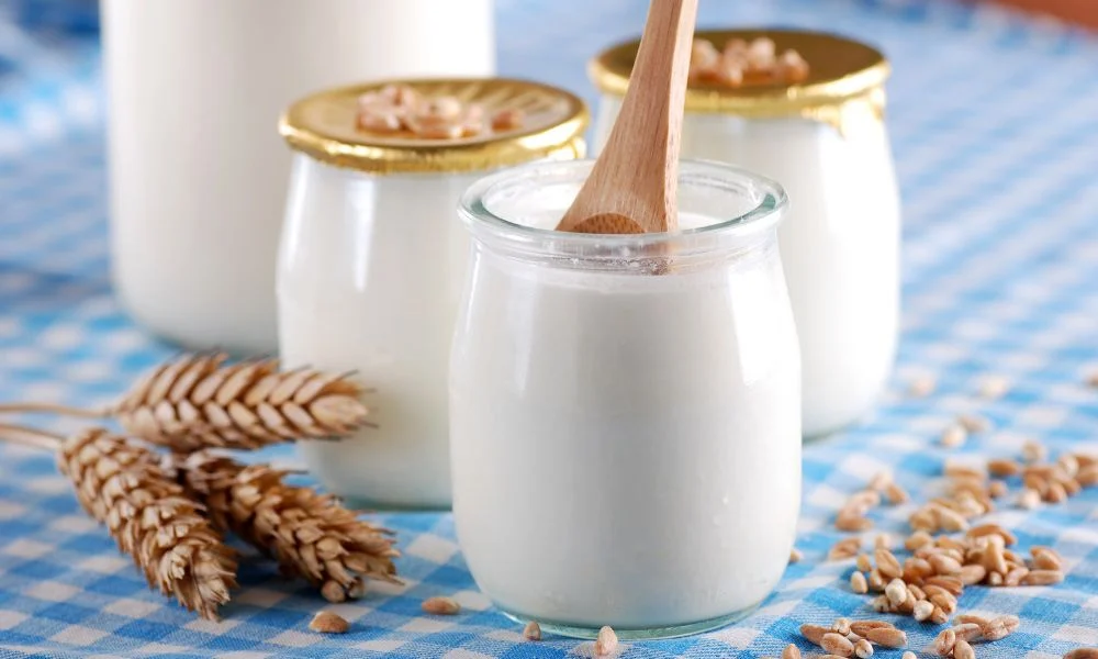5 món tốt cho dạ dày nên ăn thường xuyên 